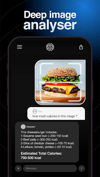 DeepSeeAI Screenshot 3