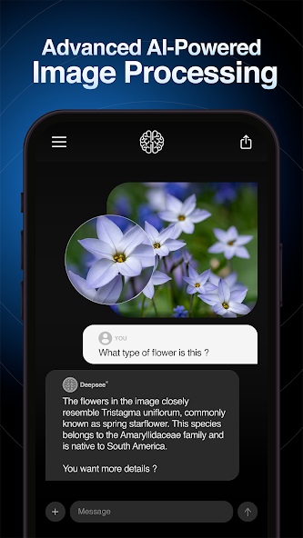 DeepSeeAI Screenshot 6